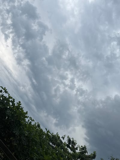 The image depicts a slightly tilted view of a cloudy sky with dark, heavy clouds. In the lower left and extending upwards along the left edge of the frame, there is a dense cluster of dark green foliage from trees. The overall impression is of an overcast or stormy day. The location is identified as Lesnovo, Bulgaria. There are no people or specific actions visible in the scene. The environment is natural, with trees and sky as the primary elements.