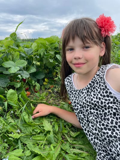 A young girl with brown hair adorned with a large red flower accessory is lying in a field of greenery, possibly a strawberry patch. She is wearing a white top with a black and white patterned overlay. Her expression is a gentle smile, and her eyes are looking towards the camera.
The field is abundant with lush green leaves, with hints of ripe red strawberries visible amongst them. Small white flowers are scattered throughout the foliage, adding to the natural scene. The background shows a cloudy sky and a distant hillside, suggesting an outdoor setting, likely in a rural or natural environment. The image appears to be taken during the daytime, under an overcast sky. The overall impression is one of peacefulness and a connection with nature, possibly during a leisurely outing or a visit to a strawberry farm. The image is oriented sideways.