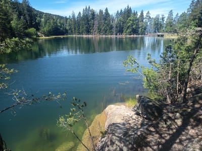 A panoramic view of a tranquil lake on a sunny day, framed by lush green trees and rocky outcrops. The crystal-clear water reflects the blue sky and the dense forest lining the opposite shore. Several people can be seen scattered along the shoreline in the distance, some appearing to be sunbathing or relaxing on the beach. A wooden bridge spans a portion of the lake, adding a picturesque element to the landscape. The sun-dappled rocks in the foreground, along with the overhanging branches of pine trees, create a sense of natural beauty and seclusion. The scene suggests a popular spot for recreation and enjoying the outdoors, likely during the summer months given the clear skies and foliage. The time of day appears to be mid-morning to early afternoon, indicated by the bright sunlight and the shadows cast. The location context of Drammen, Norway, further enhances the imagery of a Scandinavian summer retreat.