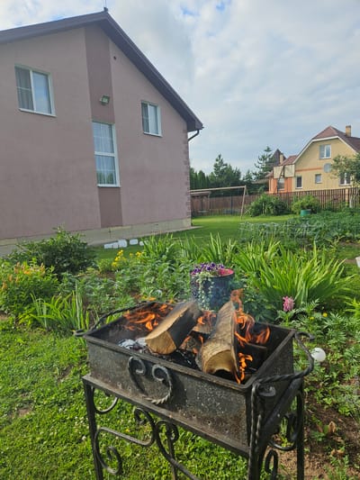 The image shows an outdoor scene with a grill containing burning logs in the foreground. The grill is made of black metal with decorative scrollwork. Behind the grill, a lush garden is visible, with a variety of green plants and some flowers. In the background, there are two houses, one with a beige facade and the other with a yellow facade, both featuring visible windows. The sky is cloudy. The scene appears to be in a residential area in Gornye Moriny, Russia. There are no people or animals visible in the image. The overall atmosphere is peaceful and depicts a typical summer day.