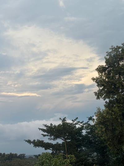 The image depicts a cloudy sky above a lush green landscape, likely a rural area or the outskirts of a city like Pơng Drang, Vietnam. The sky is filled with layered clouds, ranging from light gray to white, with a subtle hint of yellow light breaking through in the distance, suggesting either sunrise or sunset. In the foreground and midground, dense foliage and trees dominate the scene. The trees are full of leaves, with some appearing as large, mature specimens and others as younger growth. The overall impression is one of natural beauty and tranquility. There are no people or specific objects that would indicate urban activity.