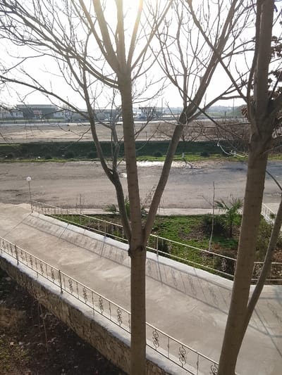 The image depicts an elevated view of an outdoor scene in Yangi Chinaz, Uzbekistan. In the immediate foreground, two leafless, deciduous trees with bare branches partially obscure the frame. Below and to the left of the trees, a concrete pathway or ramp extends diagonally, bordered on both sides by a low stone wall topped with a decorative metal railing. The railing casts distinct, repeated shadows onto the sunlit concrete.
Beyond the pathway, a strip of sparse green grass features a single white lamppost with a spherical light fixture positioned on the left. Further back, a wide, unpaved or graveled area stretches across the midground, presenting an irregular surface with dark patches and a small standing puddle toward the left. In the distant background, under a bright, back-lit sky, several low-rise structures are visible. These include a light-colored building with a dark roof and visible "Coca-Cola" branding on the far left, followed by other industrial-type buildings and a structure resembling a gas station canopy. An earthen embankment or elevated terrain is present on the far right horizon. No individuals, animals, or specific actions are observed within the frame.