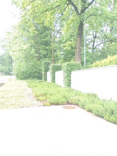 The image depicts a well-maintained outdoor area, likely in Nowa Wieś Szlachecka, Poland. In the foreground, a concrete pathway runs diagonally from the lower left to the lower right. Adjacent to the pathway, on the right side of the image, is a well-trimmed hedge of low-lying green shrubs. Further to the right, a tall, white wall runs horizontally across the mid-ground. Behind this wall, several trees with dense green foliage are visible. In the background, more trees and greenery create a natural, wooded environment. The overall scene suggests a residential or possibly a commercial property with a focus on landscaping and privacy, indicated by the wall and hedges. The lighting suggests it is daytime, possibly overcast given the soft, diffused light. No people are visible in the image.