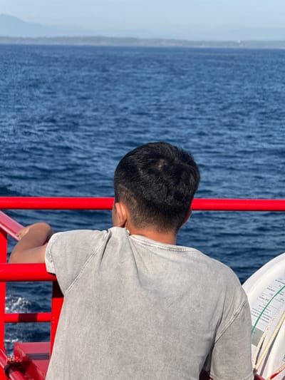 A young person wearing a light grey t-shirt is leaning on a red railing, looking out at the sea. The water is a deep blue with gentle waves. In the distance, there is a hazy shoreline with mountains. The person's back is to the camera, and their head is slightly turned to the right. The scene appears to be on a ferry or boat. The image does not contain any information that would help determine the location in the city of Dong Son, Vietnam.