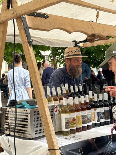 An outdoor market stall in Častá, Slovakia, is captured during daytime, featuring a vendor and customers. A man with a long, light brown beard and a straw hat, wearing a blue denim shirt, stands behind a display, looking towards a customer. Opposite him, a woman wearing a green baseball cap appears to be examining the products or engaged in a conversation, with her hand near a small glass.
The stall is constructed from rough-hewn wooden beams and features a white canvas canopy. A wide assortment of bottled beverages, likely wines or spirits given the context and visible text, are neatly arranged in multiple rows. The bottles contain liquids of various colors, from clear and pale yellow to amber and dark red. Many labels are visible, some with distinctive illustrations and text such as "DOLCÉ ČERNÁ PO", "CHR", "TRIS", "LIBERT", "ZÁHRA", "SASKA", "POZDNÉ", "PRIATEL", and "ERTAS".
Behind the bottles, a metal cooling unit or storage crate with a perforated design is visible. In the background, other people are present, including a woman in a light blue striped dress, suggesting an active market environment. Green foliage and trees indicate an outdoor setting. A black banner or bag hangs from the stall structure, displaying text in what appears to be Czech or Slovak, including "VÉ VINO ZNAČKOVÉ ROČNÍK" (branded vintage wine), "VIŠNÍ, MORUŠE ČIERNG" (cherry, black mulberry), and "VERNYCH RÍBEZLÍ" (currants), strongly suggesting the sale of fruit wines or similar drinks. The scene conveys a relaxed, commercial interaction at a local market.