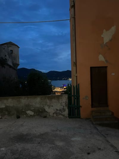 The image shows a narrow street in Portoferraio, Italy, with a view of the sea and the town below. The street is lined with buildings, one of which is a tall orange building with a wooden door and steps leading up to it. A green gate is visible on the left side of the image.  The sky is a dark blue, and the street is lit by the lights of the town below. The building in the foreground appears to be old and worn, with a few cracks and imperfections in the stucco. The street in front of the building is paved and appears to be made of gravel. The street is empty and the scene is still, suggesting that it is late at night.  The image was taken at the coordinates 42.816, 10.334, which corresponds to a location in the town of Portoferraio, Italy.