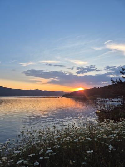 The image depicts a panoramic view of a natural landscape at sunset in Brosh, Bulgaria. The sky occupies the upper two-fifths of the frame, transitioning from light blue at the zenith to warmer hues of orange and yellow near the horizon, indicative of the setting sun. Scattered white and grey stratocumulus clouds are present, with wispy cirrus clouds in the upper left.
The setting sun is visible as a bright, orange-yellow disc partially obscured by a dark, tree-covered hill on the right side of the frame, emitting visible rays of light across the water. A calm body of water, likely a lake or a wide river, occupies the mid-ground, reflecting the vibrant colors of the sky and the sun. Gentle ripples are evident on the water's surface.
In the distant background, a range of dark, undulating hills or mountains stretches across the horizon, silhouetted against the bright sky. In the mid-ground, on the right side of the water, several white structures resembling docks, pontoons, or small watercraft are visible, some with railings. A larger, multi-level white structure is positioned closer to the viewer on the immediate right bank, with parts of its infrastructure visible. Multiple small, dark-colored boats are moored or floating on the water's surface, particularly in the mid-distance.
The immediate foreground on the right and bottom features a dense cluster of small, white, daisy-like flowers with green foliage, growing along the bank of the water. Branches of an evergreen tree, likely a pine, are visible in the upper right corner, partially framing the scene. No individuals are visible within the frame. The overall scene captures a tranquil, natural environment during the twilight hours.