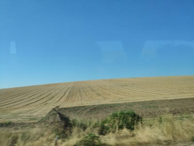 A low-angle, full shot captures a vast, sun-drenched wheat field stretching towards a clear blue sky. The field is neatly furrowed, indicating recent harvest. In the foreground, dry grasses and a patch of green foliage are blurred by motion. The image appears to be taken from a moving vehicle, evidenced by the slight blur and reflections in the sky. The location is identified as Kozar Belene, Bulgaria.