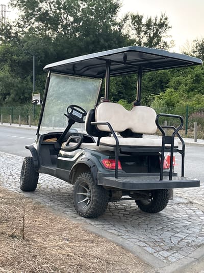 A dark green golf cart is parked on a cobblestone path next to a paved road. The golf cart has a black roof supported by four posts and a windshield. It has two rows of beige seats. A black metal rail system surrounds the back of the cart, including a platform. The golf cart is facing to the left of the frame. The background features a dense line of green trees and foliage, with a light-colored sky. The paved road has a white line marking. In the foreground, there is dry, brown grass and some loose twigs. A tall light pole is visible in the distance on the left.