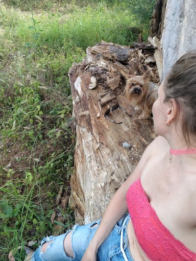 In this close-up, overhead shot taken outdoors, a person is seated next to a large, weathered log. The person, seen from behind and the side, is wearing ripped blue jeans and a bright pink, lacy bra. Their hair is pulled back, and they are wearing a pink choker necklace with a small cross pendant and a gold hoop earring. A small Yorkshire terrier sits on the log, looking towards the camera. Sunglasses and a small, clear object rest on the log near the dog. The background consists of lush green grass and foliage, with a large, rough-textured tree trunk to the right of the frame. The scene appears to be in a natural, outdoor setting. The lighting suggests it could be daytime, with soft shadows indicating possibly morning or late afternoon. There is no visible text in the image. The context suggests this might be in Fyodorovskaya, Russia.