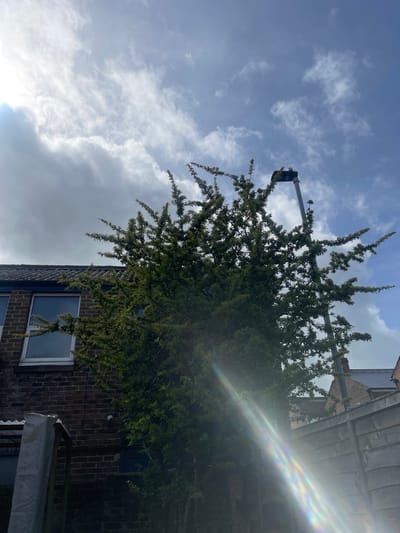 An outdoor, low-angle photograph captures a vibrant, dense green tree dominating the mid-ground, its leafy branches, possibly in bloom with light-colored buds, extending upwards and across the frame. The tree partially obscures a two-story building constructed of reddish-brown brick, featuring a dark tiled roof and a white-framed window with a blue tint reflecting the sky. Another darker window or door is visible higher on the wall, and a white security camera is mounted on the brickwork.

On the far right, a structure draped with a white fabric, possibly part of a balcony or awning, is partially visible. A metal pole, resembling a street light arm or a CCTV camera mount, emerges from behind the tree and extends diagonally into the upper left portion of the sky.

The sky above is a dynamic mix of bright white and grey clouds, with patches of clear blue visible between them. A prominent lens flare with distinct rainbow-colored streaks emanates from the upper right of the frame, indicating the sun is either in or just outside the shot, shining directly towards the camera. The scene is brightly lit, confirming it is daytime. No people or visible text are present. The architecture and brickwork are consistent with an urban or suburban setting, such as Portsmouth, United Kingdom.