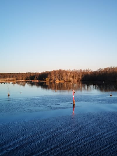 The image shows a body of water, possibly a river or lake, with a red and white navigation marker in the middle ground. The background features a line of trees along the shoreline. The water surface displays ripples and reflections. The sky is clear and blue. The image is located in Kurdiug, Russia.