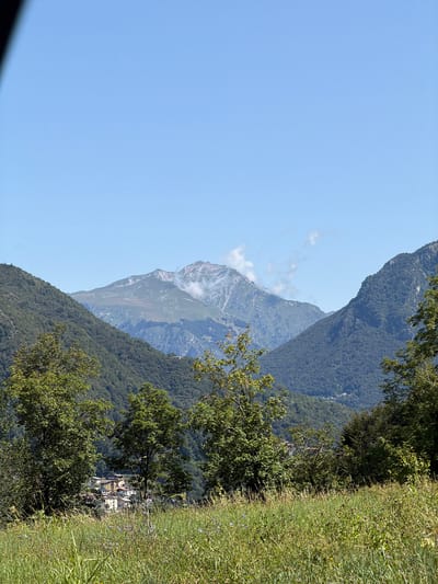 The image depicts a panoramic mountain landscape in Zogno, Italy. The scene is dominated by lush green mountains covered in dense forests, with a rugged, rocky peak emerging in the distance, partially shrouded by light clouds. The sky is a clear, bright blue, suggesting a sunny day. In the foreground, to the right, a grassy slope is covered in tall grass and scattered wildflowers, with the tops of trees bordering it. To the left, closer trees frame the view of the mountains. Nestled within the mountain slopes, a cluster of buildings, likely a small village or town, is visible, with red-tiled roofs and light-colored facades. The perspective suggests the photo was taken from a slightly elevated position, looking down and across the valley. The overall mood is serene and captures the natural beauty of the Italian Alps on a pleasant day. No people, objects, or text are clearly identifiable.