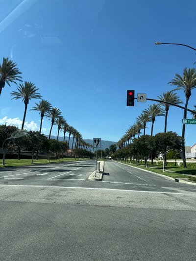 The image captures a wide, paved street in Fontana, California, lined with tall palm trees on both sides. The sky is a clear, bright blue. A traffic light is visible, showing a red light. A street sign indicates "Foothill". The road has visible lane markings, including directional arrows. Green lawns and trees line the sides of the street, with residential buildings in the background. The perspective suggests the photo was taken from a vehicle traveling down the road.