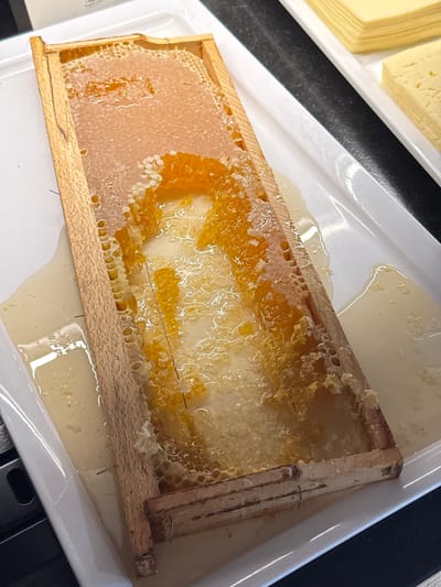 A close-up, overhead shot shows a rectangular wooden frame filled with honeycomb. The honeycomb is filled with golden honey, some of which has dripped down the sides of the frame and onto the white rectangular serving dish below. The dish is placed on a black surface, and in the background, there are slices of yellow cheese stacked on another white dish. The image appears to be taken in a food establishment, possibly a buffet, in Mayrhofen, Austria. There are no people or animals visible in the image.