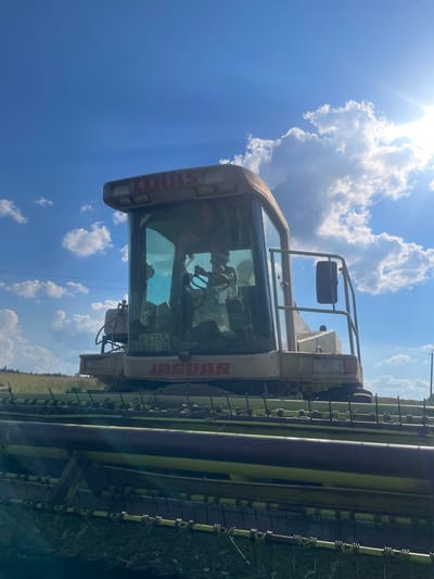 The image shows a Claas Jaguar 3745 forage harvester in a field under a bright, partly cloudy blue sky. The harvester's cabin is visible with large glass windows. A license plate with the characters "3745 EK 59" is attached to the lower front of the cabin. The text "JAGUAR" is visible in red lettering on the front of the machine. The harvesting header of the machine, with its cutting blades and mechanisms, is in the foreground. The background consists of a field of grass or crops, with a distant treeline and utility poles. The sun is shining brightly, creating lens flare and casting shadows. The location is identified as Bormist, Russia.