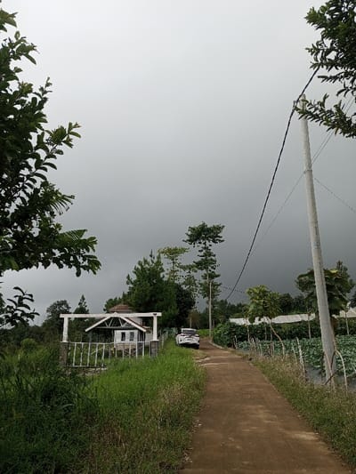 This image presents a static, wide-angle view of a rural landscape in Kondha, India, under an overcast grey sky. A dirt road, brown in color, runs from the foreground's lower center, gently curving right and receding into the middle distance. To the left of the road, tall green grass and vegetation are prominent, partially obscuring a white decorative archway. Behind this archway stands a small white building with a distinctive reddish-brown tiled, pointed roof. Further left and behind the building, dense evergreen trees are visible, extending into the background. A white SUV is parked facing away from the viewer on the right side of the dirt road, beyond the white building. To the right of the road, cultivated agricultural fields with discernible rows and white support structures are present. A tall, light-colored utility pole with dark overhead wires is situated on the right side of the frame, parallel to the road. The background consists of a tree line merging with the grey sky. No individuals are visible in the scene.
