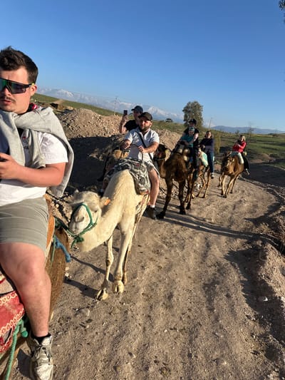 A group of seven individuals is engaged in a camel trek on a dirt path in Lalla Takarkoust, Morocco, under a clear, light blue sky. The scene is illuminated by warm, late afternoon sunlight, casting long shadows.
The foreground features the lower torso and right leg of a male rider, wearing grey shorts and light-colored sneakers. A grey sweatshirt is draped over his left shoulder, and he holds a dark smartphone in his left hand. He is seated on a camel with a reddish-patterned saddle. Immediately ahead, a light-colored camel, wearing a green halter and lead rope, walks on the dirt path.
Following this camel, six additional individuals are visible, riding five other camels in a single file line. The second rider is a male with a beard, wearing a black cap, white collared shirt, and dark shorts, seated on a dark brown camel with a patterned saddle. Behind him, another male in a dark cap and t-shirt is actively holding a smartphone, seemingly capturing an image. Further back, an adult and a child ride a dark brown camel, followed by two more dark brown camels, each carrying a single adult. The last visible rider, a female, wears a red jacket.
The environment consists of a barren, reddish-brown, rocky mound to the left, and a gently sloping dirt path leading into the distance. To the right, green vegetation and scattered trees are visible. In the far background, snow-capped mountains rise distinctly against the horizon.
