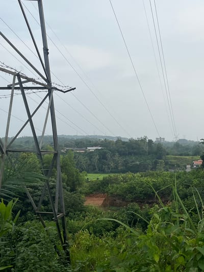 An overhead, wide shot captures a misty, overcast view of lush, green hills and vegetation in Walahanduwa, Sri Lanka. Dominating the left foreground is a large, dark grey metal electricity pylon with an intricate network of crossbeams and wires. Barbed wire is visible along the upper structures of the pylon. Several thick electrical cables stretch diagonally across the frame, disappearing into the hazy distance.
The midground features a dense forest of various trees, including palm trees, interspersed with patches of lighter green, possibly rice paddies or cultivated fields. Several buildings, appearing as clusters of houses and some taller structures that resemble apartment buildings or small towers, are visible nestled within the landscape. A section of reddish-brown earth, possibly indicating a recent landslide or construction site, is visible in the middle ground, breaking the uniform green.
The foreground is filled with a variety of green foliage, including leafy plants and tall grasses, some of which extend into the bottom corners of the frame, creating a naturalistic border. The overall impression is one of a tropical, somewhat underdeveloped, and humid environment, possibly during the monsoon season, given the overcast sky and mist. There are no people visible in the scene.