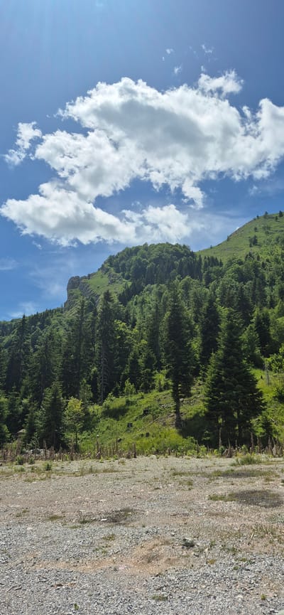 The image depicts a mountainous landscape under a partly cloudy blue sky. In the foreground, there is a rocky, gravelly area with sparse vegetation. Behind this, a lush green mountainside rises, densely covered with coniferous and deciduous trees. The upper slopes of the mountain feature exposed rock faces and a continuation of the forest. Cumulus clouds are scattered across the sky. The scene is consistent with a view from the vicinity of Sedlačka Gora, Montenegro.