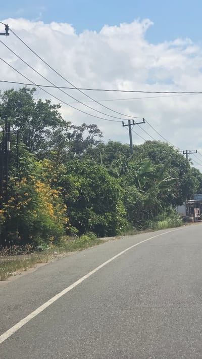 The image shows a view alongside a road in Baroh Musa, Indonesia. The road is paved and has a white line marking its edge. Adjacent to the road is a dense area of trees and vegetation, including some with yellow flowers. Power lines and utility poles are visible against the sky, which is partly cloudy.