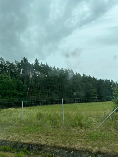 This image captures a view of a dense forest bordering a grassy field. The sky is overcast with gray clouds, suggesting a possibility of rain. In the foreground, a wire fence runs horizontally across the image, with metal posts supporting it. The field is covered in green grass with some areas of taller, dried grass. At the bottom of the image, a concrete structure with some vegetation is visible. The trees are predominantly evergreens, forming a thick, dark green line along the edge of the field. No people or specific landmarks are discernible in this image that would indicate a specific location within Sulkov, Czechia.