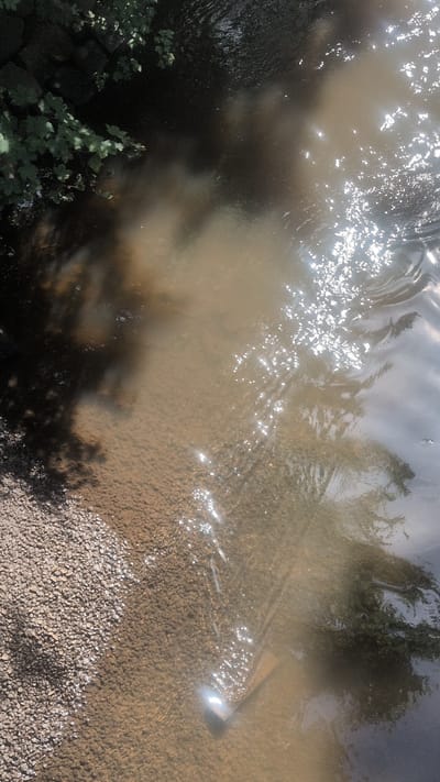 The image depicts a shallow, murky body of water, likely a small stream or ditch, in Pinneberg, Germany. The water reflects bright sunlight, creating numerous glints and streaks on its surface. The bottom of the water body is visible in places, revealing a sandy or silty substrate with small pebbles along the edge. Dense green foliage is present in the upper left corner, casting shadows into the water. The overall impression is of a natural, somewhat overgrown waterway within an urban or suburban setting, likely in Pinneberg, Germany.