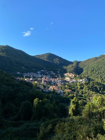 An elevated view captures the village of Biassa, a *frazione* of La Spezia, Italy, nestled within a valley flanked by densely forested hills under a clear blue sky. The scene is illuminated by direct sunlight from the left, casting shadows across portions of the landscape and highlighting the village.
The upper approximately one-third of the image consists of a bright, cloudless blue sky, save for two small, indistinct white clouds positioned in the upper left quadrant. Below the sky, two prominent, tree-covered mountains define the horizon, with a noticeable communication tower or antenna structure situated atop the left mountain peak.
The central feature is the village of Biassa, composed of numerous tightly clustered residential structures with predominantly terracotta-tiled roofs and light-colored facades (tans, yellows, pinks, whites). These buildings are arranged along the contours of the hillside, with some areas of the village bathed in sunlight and others in shadow. A winding road is visible traversing through the village.
The lower two-thirds of the image are dominated by lush, dark green vegetation covering the steep hillsides and filling the foreground. In the immediate foreground, dense, overgrown foliage and trees are prominently featured, casting deep shadows. Patches of brighter green foliage indicate areas where sunlight penetrates. No people or discernible activities are visible within the frame.