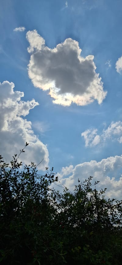 This media file depicts a dynamic sky with a mix of clouds and blue sky, framed by the dark silhouette of trees on the right side of the image. The sun is partially obscured by a large, textured cloud on the left, creating bright, radiating light beams and a subtle iridescence along its edge. The clouds range from fluffy white cumulus to more subdued, gray masses, suggesting a partly cloudy day. Thin, wispy clouds are also visible, adding depth to the sky.
In the foreground on the right, dense foliage from trees forms a dark, textured border, with visible branches and leaves. Small, red berries are scattered throughout the foliage, indicating a possible late summer or early autumn setting. The presence of utility wires stretching across the upper right portion of the sky provides a subtle human-made element within the natural scene.
The lighting suggests it is daytime, likely afternoon, given the angle of the sun's rays and the bright illumination of the clouds. The scene evokes a sense of natural beauty and the changing conditions of the sky. No people are visible, and no text is present in the image. The location context of Verkhneural'sk, Russia, places this natural scene within a specific geographical region.