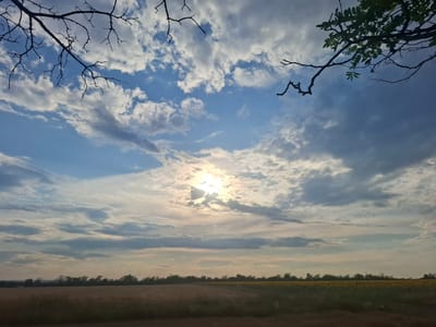 The image shows a wide, open field under a cloudy sky at sunset. The sun is partially obscured by clouds, casting a bright glow. In the foreground, there are silhouetted branches of trees framing the sky. The middle ground features a harvested field and a line of trees in the distance, possibly bordering a sunflower field which is visible as yellow specks on the right side. The sky is a mix of blue and gray clouds, with streaks of orange and yellow near the horizon, indicating the setting sun. The scene is tranquil and captures a rural landscape. The location is in the village of Topaly, Ukraine.
