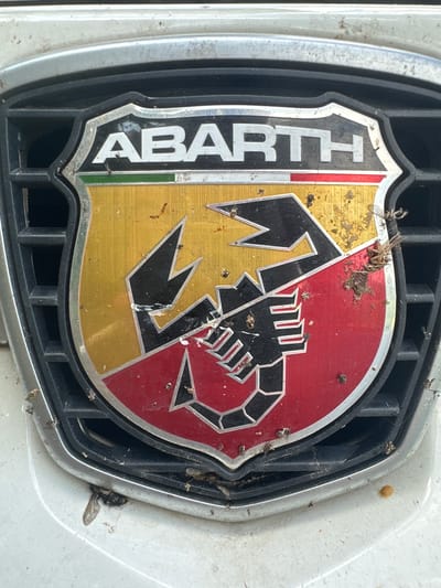 This is a close-up, eye-level photograph of a car emblem, likely the front grille of an Alfa Romeo Abarth, positioned on a white car in Alsfeld, Germany. The emblem is a shield shape, divided diagonally. The left side is predominantly gold with the word "ABARTH" vertically inscribed in white letters on a black background, bordered by a thin red and green stripe. The right side of the emblem is red. A stylized black scorpion, the Abarth logo, is superimposed over both the red and gold sections, with its claws extending towards the left and its tail raised over the red portion.

The emblem and surrounding grille are heavily soiled with dead insects and debris, particularly concentrated on the red section and the scorpion's tail. The metallic finish of the emblem is dulled by the dirt. The grille itself is black and appears to be made of plastic, with a rectangular grid pattern. The surrounding car body is white and shows signs of dirt and dust.

The lighting suggests it is daytime, likely sunny given the bright reflections on the car's surface and the clear visibility of the emblem's details. The presence of dead insects suggests the car has been stationary outdoors for some time, possibly in a location exposed to flying insects. There are no people visible in the image. The overall impression is one of neglect or a lack of recent cleaning for the vehicle. The visible text on the emblem reads "ABARTH".