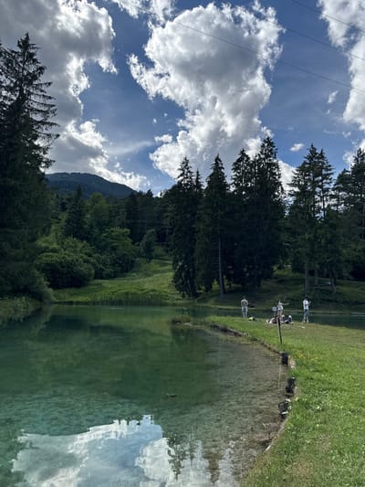 The image depicts a scenic view of a clear, turquoise lake surrounded by lush green grass and tall pine trees. In the background, a rolling hill covered in dense forest leads up to a majestic mountain. The sky above is a vibrant blue, dotted with fluffy white clouds, with power lines stretched across the upper portion of the frame.
On the grassy bank of the lake, several people are visible. One person stands near the water's edge, appearing to fish. Further back, a group of individuals are gathered on the grass; one is lying down, while others are seated or standing, possibly relaxing or socializing. A small yellow backpack rests on the ground near them. The lake's edge is marked by weathered wooden posts.
The scene conveys a peaceful, natural environment suitable for outdoor recreation. The location is identified as being in the city of Calalzo di Cadore, Italy, a region known for its stunning mountain landscapes and pristine natural beauty.