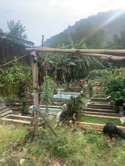 A view of a cemetery in the city of Lagadar, Indonesia, located at coordinates -6.925 latitude and 107.536 longitude. The scene is a graveyard with rows of headstones and a tall, sturdy wooden fence in the foreground. There are numerous trees, bushes, and flowers throughout the cemetery, including banana trees and red flowers. The cemetery is situated on a hillside, with a lush, green forest in the background. A large, dark bird sits on a tombstone in the lower right corner of the image. The ground is covered in grass, and there are several concrete paths. The overall atmosphere is tranquil and peaceful.