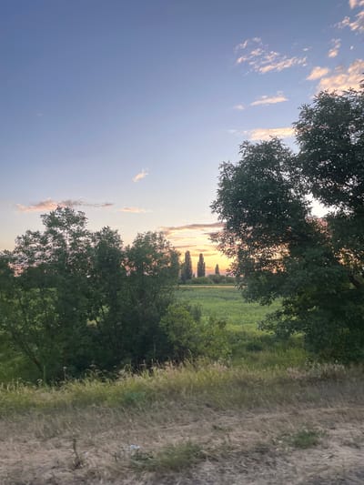 This is a photograph of a rural landscape in Musiivka, Ukraine, during sunset. The sky is a gradient of blue and pink, with scattered clouds tinged with orange from the setting sun. In the foreground, there are tall green trees with dense foliage, partially obscuring the view of a field behind them. The field is lush and green, with some taller trees or structures visible in the distance. The overall scene depicts a peaceful, natural environment at dusk.