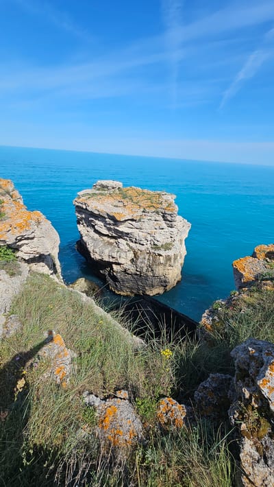 This photograph shows a coastal landscape with turquoise water and a rocky outcropping. The image is oriented vertically. In the foreground, a cliff edge is covered in grass and lichen-covered rocks. A large, isolated rock formation with similar lichen sits in the water just off the coast. Beyond the rock formation, the turquoise sea stretches to the horizon, where it meets a bright blue sky with some faint clouds. The location is Sveti Nikola, Bulgaria, evident from the characteristic rock formations along the coast. There are no people visible in the image. The primary subjects are the natural features of the landscape: the sea, sky, rocks, and vegetation.