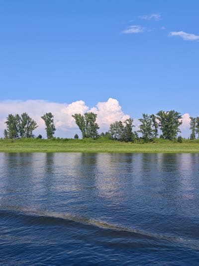 A wide, still river flows in the foreground, reflecting the sky and trees on the opposite bank. The water is a deep blue with a gentle ripple pattern emanating from the left side of the frame. Along the far bank, a lush green meadow is dotted with trees of varying heights, creating a natural, verdant barrier. Behind the trees, dramatic white clouds contrast sharply against a clear blue sky. The scene evokes a sense of tranquility and natural beauty, typical of the landscape found in and around Verkhnepashino, Russia. There are no people or artificial structures visible in this natural setting.