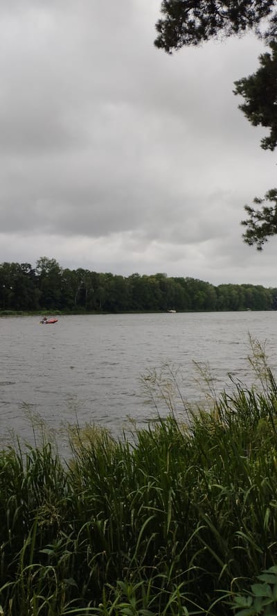 The image depicts a body of water, likely a lake or river, under a heavily overcast sky. The water surface is rippled, suggesting a breeze. In the middle ground, a dense line of trees forms the shoreline, creating a dark green backdrop. In the distance, on the water, a small, red inflatable boat with a person in it is visible, positioned to the left of the frame. To the right of the boat, a lighter-colored object, possibly another small boat, is also present on the water. In the foreground, tall green grass and reeds are growing along the bank, partially obscuring the lower portion of the scene. The upper right corner of the image shows the dark green needles of a coniferous tree branch extending into the frame from above. The overall atmosphere is subdued due to the cloudy weather.