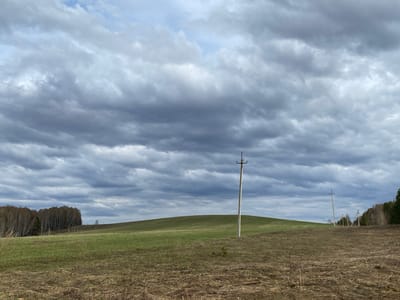 The image presents a vast, open rural landscape under a dramatic, heavily clouded sky. The sky is dominated by thick layers of dark grey and lighter grey clouds, suggesting an overcast or pre-storm atmosphere, with only hints of brighter sky visible through breaks.
In the foreground, the ground is covered with dry, brown, and sparse vegetation, likely indicating late winter or early spring conditions. A small, green sapling stands near the base of a utility pole. The midground features a gently sloping, vibrant green field or hill, implying new growth.
A tall, light-colored utility pole stands prominently in the mid-right of the frame, fitted with insulators and wires that stretch horizontally across the upper part of the image. Further to the right, a line of similar utility poles recedes into the distance.
On the far left, a dense stand of deciduous trees, many with light-colored trunks characteristic of birches, marks the edge of a forest. Another cluster of trees is visible on the far right horizon. The scene is static, devoid of people or explicit activity, and depicts a broad, tranquil vista. The time of day is daytime, but the heavy cloud cover gives the light a subdued quality. There is no visible text. The landscape is consistent with a rural area in Nekrasovo, Russia during a transitional season.