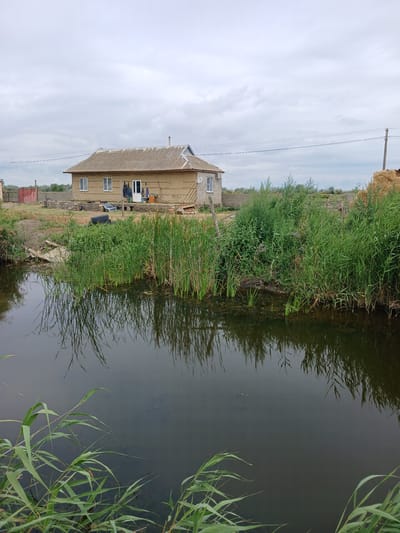 The image depicts a rural scene in Novaya Kosa, Russia, featuring a modest, light-colored house with a corrugated roof, situated near a body of dark water. The house has several windows and a prominent doorway. Surrounding the house is overgrown vegetation, including tall reeds along the water's edge, and some scattered debris. In the foreground, the dark water reflects the sky and the surrounding reeds. To the right of the house, a large stack of hay bales is visible. The sky is overcast, contributing to the subdued lighting of the scene. The overall impression is one of a quiet, somewhat unkempt, rural dwelling.