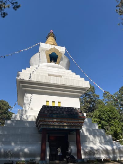 A white stupa with a golden spire stands against a bright blue sky. Colorful prayer flags are strung from the stupa's structure. The stupa features tiered layers and a detailed facade with columns and decorative patterns. Green trees surround the structure. A person appears to be standing near the entrance.