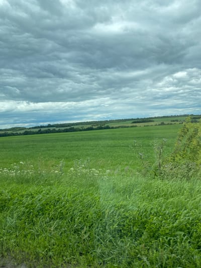 The image depicts a wide, open landscape under a cloudy sky. In the foreground, tall green grass and wildflowers are visible, with some taller stalks of vegetation and a few small purple flowers. Beyond this, a vast, vibrant green field stretches into the middle ground, possibly a crop field or pasture. Further in the distance, rolling hills are covered with a dense line of trees, with more undulating terrain visible behind them. The sky is filled with a thick layer of grey, textured clouds. The scene appears to be a rural or semi-rural environment, with no signs of urban development or human activity. The location is identified as Orlovka, Russia, suggesting a natural or agricultural setting within or near that settlement.