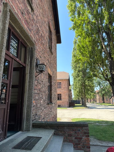 This is a photograph taken in Oświęcim, Poland, showing the exterior of brick buildings that appear to be part of a historical site. Tall trees with lush green foliage cast shadows on a light-colored pathway. The sky is a clear blue, suggesting daytime and fair weather.
The foreground is dominated by a large brick building with a rough concrete trim around a dark-framed window. Reflected in the window, text is visible, partially obscured by the glass. The visible text includes "POZYCJE EXHIBITIONS," "TRAGEDDA OWACKICH Z DOW," "THE TRAGEDY OF SLOVAK JEWS," "IĘŻNIOWIE Z CZECH W KLAUSCHWITZ," "PRISONERS FROM HEMIA AT AUSCHWITZ." A square metal sign with the numbers "166" is attached to the brick wall above the window, mounted on a dark metal arm.
In the background, a row of similar brick buildings stretches into the distance, lined by more trees and a grassy area. The overall impression is one of a historical memorial or museum site, with elements suggesting a past event of significance. The scene is still, and the lighting indicates it is likely midday.