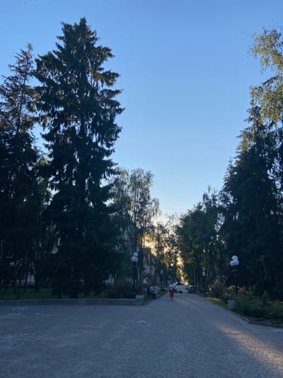 The image depicts a park pathway lined with trees and lampposts, bathed in the warm glow of a setting or rising sun. The pathway is paved with grey cobblestones, and a few white balloons are visible near a lamppost, suggesting a celebration or event.

In the distance, a person in red clothing walks along the path, while another person is seated on a bench. Cars are parked along the side of the path, and buildings are visible behind the trees. The sky is a clear blue, with a few small birds flying in the distance. The overall mood is peaceful and serene.

The scene appears to be set in Nyzhni Mlyny, Ukraine, as indicated by the location context. The time of day is either early morning or late afternoon, given the low angle of the sun and the warm lighting. The weather appears to be clear and pleasant.
No visible text is present in the image.