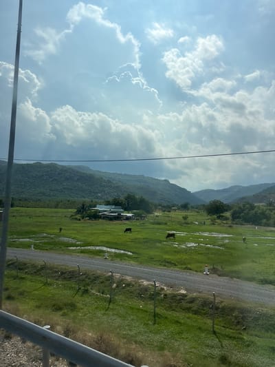 A wide-angle, eye-level shot captures a rural landscape under a dynamic sky. The foreground features a metal guardrail and a gravel path bordering a lush green field dotted with puddles. A wire fence runs parallel to the path. In the middle ground, several cows graze in the wet field. Beyond the field, a cluster of buildings with light-colored roofs is visible. The background is dominated by rolling, tree-covered hills under a bright, cloudy sky. The overall scene suggests a natural, pastoral setting.