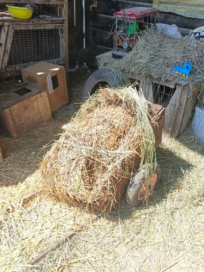 This image depicts a rustic outdoor scene, likely an animal enclosure or storage area. A large mound of dry hay is central to the composition, overflowing from a metal wheelbarrow with a rusty patina and two wheels, one of which is clearly visible. The hay appears to be a mix of dry grasses and possibly some greener clippings.

Scattered around the hay mound are several wooden structures. To the left, there are two rectangular wooden boxes with openings, resembling nesting boxes or shelters. Above these boxes, a yellow plastic bowl rests on a wooden shelf. Behind the hay and wheelbarrow, a wooden structure with wire mesh sides is visible, suggesting it could be an enclosure or part of a larger coop.

In the background, to the right of the hay mound, a red toy tractor is partially visible atop another pile of hay, with a small blue toy truck placed nearby on the hay. A section of a wooden fence or wall forms the backdrop. The ground is covered in dry hay and straw, indicative of an agricultural or rural setting. The lighting suggests it is daytime with bright sunlight casting shadows.

The specific location in Kamenno-Angarsk, Russia cannot be determined from the visual information provided in this image.