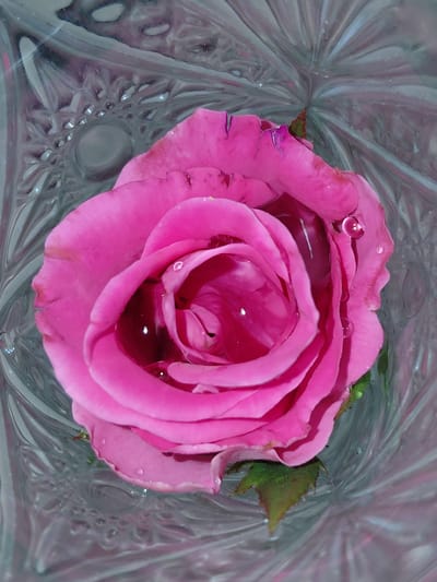This is a close-up, top-down shot of a vibrant pink rose floating in water, likely within a decorative glass container. The rose is the central subject, with its petals unfurling to reveal a tightly spiraled center. Several glistening water droplets are scattered across the petals, adding a delicate texture and highlighting the flower's natural beauty.
The background consists of the patterned glass, which has a faceted or embossed surface that refracts light, creating an abstract, rippling effect. This textured glass, combined with the water, gives the scene a serene and almost ethereal quality. Hints of green leaf are visible at the edges of the rose, suggesting it's a fresh bloom.
The lighting appears soft and diffused, likely from an indoor source or overcast conditions, which enhances the subtle colors and reflections on the water and glass. There is no indication of people, specific time of day, weather outside the immediate setting, or identifiable location cues beyond the general context of the glass container and the flower itself. The mood evoked is one of tranquility and simple elegance. No text is visible in the image.