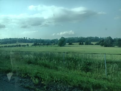 The image depicts a vast, green landscape under a cloudy sky, likely taken during the day. The scene is dominated by rolling fields of what appears to be crops, stretching towards a tree line in the distance. A single, prominent tree stands in the middle ground, its foliage a darker green than the surrounding fields. Scattered fence posts with thin wires mark the boundaries of the fields, suggesting agricultural use.
In the foreground, a dense patch of grass and weeds grows along a dark, rough surface that could be a road or a path. A faint reflection on a glass surface is visible on the left side of the image, suggesting the photo was taken from inside a vehicle, possibly through a window. The overall impression is one of rural tranquility.
The sky is filled with various shades of grey and white clouds, indicating overcast conditions or possibly the aftermath of a storm. The light is diffused, creating a soft, somewhat muted color palette with a dominant blue-green tint. The location is identified as Šternov, Czechia, which fits the pastoral setting. No people, objects, or text are clearly discernible in the image. The mood is serene and natural, reflecting a typical daytime view of the Czech countryside.