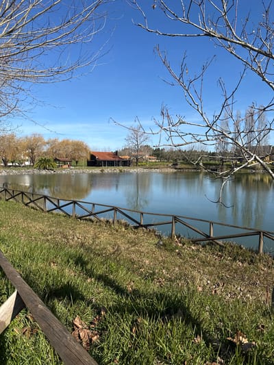 The image displays an outdoor daytime scene at a tranquil lake or pond in Cantanhede, Portugal. The foreground consists of a grassy bank with patches of green and dry brown grass, along with scattered fallen leaves. A wooden fence, constructed with horizontal rails and diagonal cross-members forming 'X' shapes, runs along the water's edge from the left mid-ground to the right mid-ground. A partially visible, larger wooden beam or fence post is present in the lower-left corner.
The central element is the calm body of water, which reflects the clear blue sky and the distant trees and structures on the opposite bank. A small, dark, indistinct object, likely an aquatic bird, is visible on the water's surface towards the left.
On the far side of the water, a cluster of trees with sparse, light-colored foliage is visible on the left. Adjacent to these trees, a building with a reddish-brown tiled roof and dark walls, possibly a restaurant or leisure facility, is prominent. This building features multiple large windows or open sections facing the water, and a chimney is visible on its roof. A small, dark-roofed structure, possibly a gazebo or picnic shelter, is situated among the trees to the left of the main building. Further to the right, more bare-branched trees line the distant bank.
The upper portion of the frame is dominated by a clear, vibrant blue sky. Out-of-focus, bare tree branches partially frame the top and sides of the image, suggesting a season without full foliage. The scene is illuminated by bright sunlight, casting distinct shadows on the grassy foreground.