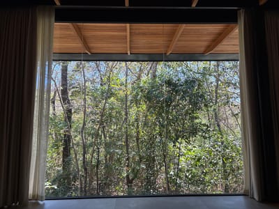 The scene depicts an interior space looking outward through a large, floor-to-ceiling glass window into a dense forest environment, specifically located in La Fortuna, Costa Rica. The window is bordered on both vertical sides by partially drawn curtains, consisting of an outer dark beige layer and an inner sheer light-colored layer. Above the window, a dark structural beam supports a wooden plank ceiling featuring visible crossbeams. The immediate foreground shows a light-colored, smooth floor surface. Beyond the window, the outdoor environment is dominated by a sunlit, verdant forest with numerous broadleaf trees, exhibiting varied foliage densities and trunk appearances. Patches of clear blue sky are visible through the tree canopy. No individuals or specific actions are discernible within the frame.