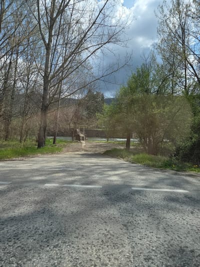 The image shows a road in Leshnitsa, Bulgaria. A gray asphalt road with white lane markings occupies the right side of the frame. Trees line both sides of the road, some with bare branches reaching towards a partly cloudy sky. The left side shows a building or structure near a body of water, possibly a river or stream, beyond the trees. A set of steps or a small bridge is visible leading to the water's edge.